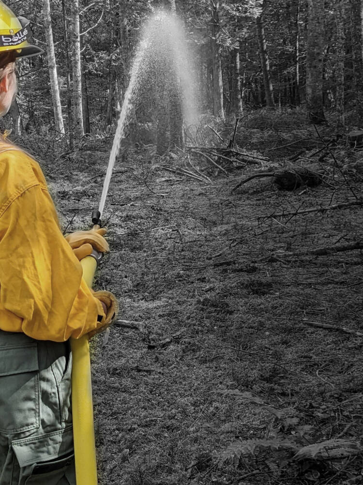 MTL22 Wildland Melissa2 desaturate crop