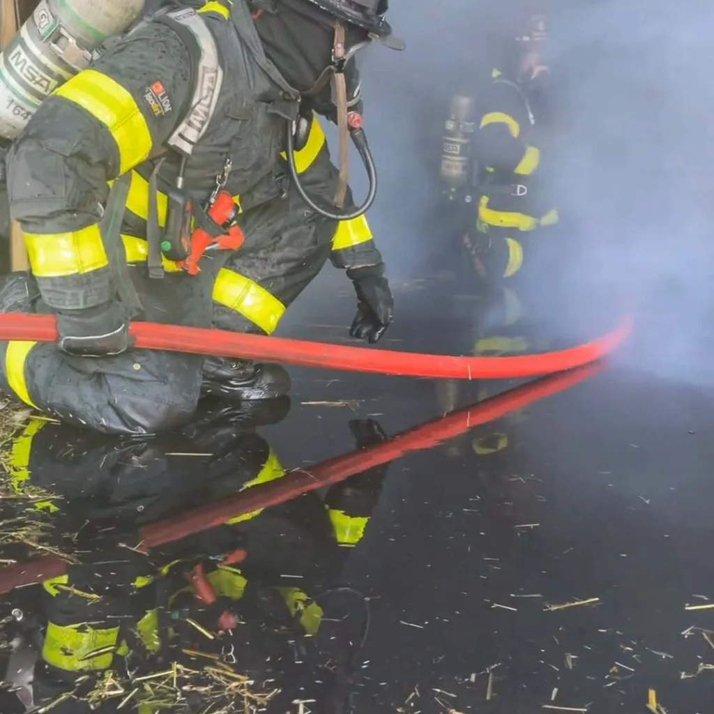 Image number 3 from Mercedes Textiles Instagram account